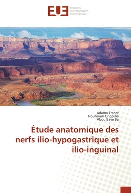 Étude anatomique des nerfs ilio-hypogastrique et ilio-inguinal