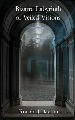 Bizarre Labyrinth of Veiled Visions