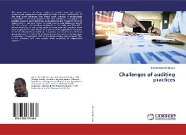 Challenges of auditing practices