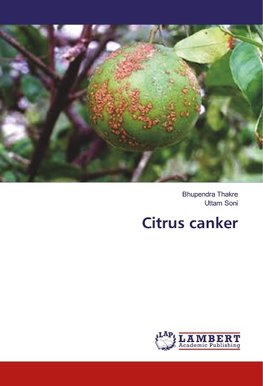 Citrus canker