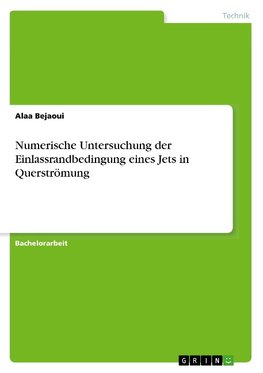 Numerische Untersuchung der Einlassrandbedingung eines Jets in Querströmung