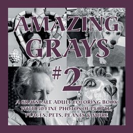 Amazing Grays #2