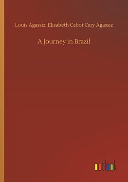 A Journey in Brazil