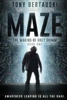 Maze (Large Print Edition)