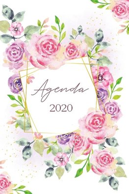 Agenda 2020 Semana Vista