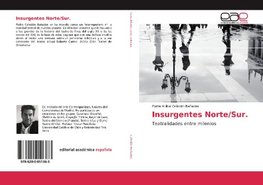 Insurgentes Norte/Sur.