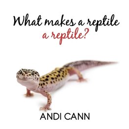 What Makes a Reptile a Reptile