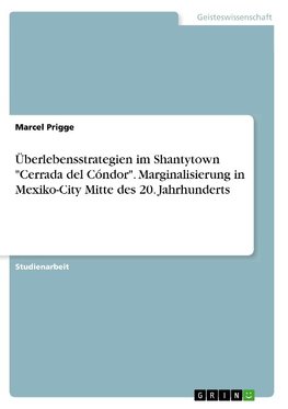 Überlebensstrategien im Shantytown "Cerrada del Cóndor". Marginalisierung in Mexiko-City Mitte des 20. Jahrhunderts