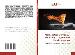 Modélisation numérique des effets d'incendie sur l'environnement