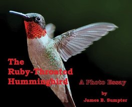 The Ruby-throated Hummingbird