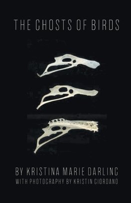 The Ghosts of Birds