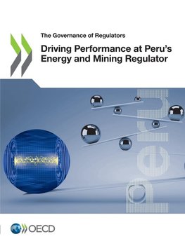 Driving Performance at Peru's Energy and Mining Regulator