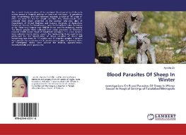 Blood Parasites Of Sheep In Winter