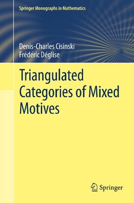 Triangulated Categories of Mixed Motives