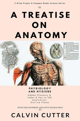 A Treatise on Anatomy