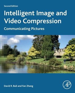 Intelligent Image and Video Compression
