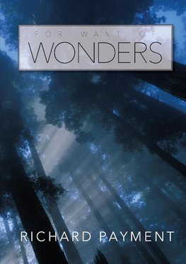 For Want of Wonders