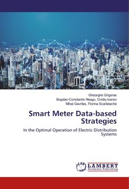 Smart Meter Data-based Strategies