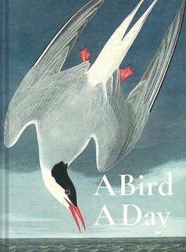 Bird a Day