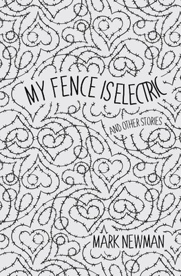 My Fence is Electric
