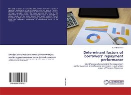 Determinant factors of borrowers' repayment performance