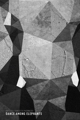 Dance Among Elephants