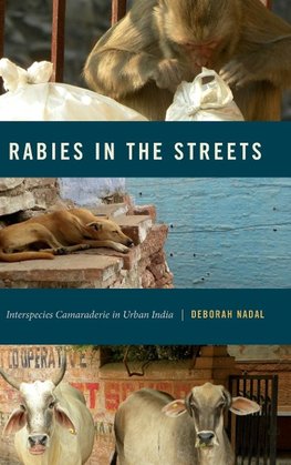 Rabies in the Streets