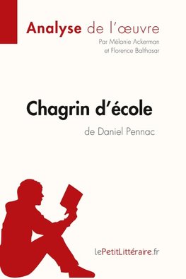 Chagrin d'école de Daniel Pennac (Analyse de l'oeuvre)
