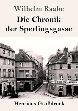 Die Chronik der Sperlingsgasse (Großdruck)
