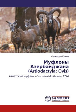 Muflony Azerbajdzhana (Artiodactyla: Ovis)