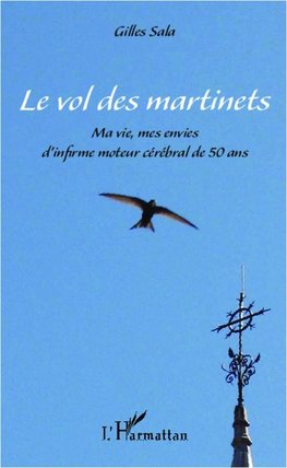 Le vol des martinets
