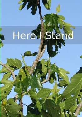 Here I Stand