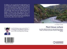Plant tissue culture