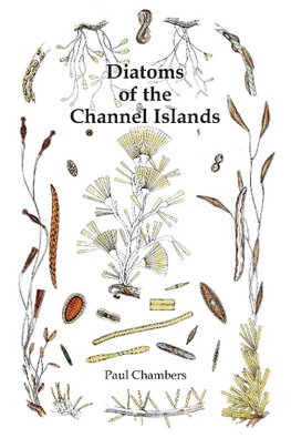 Diatoms of the Channel Islands
