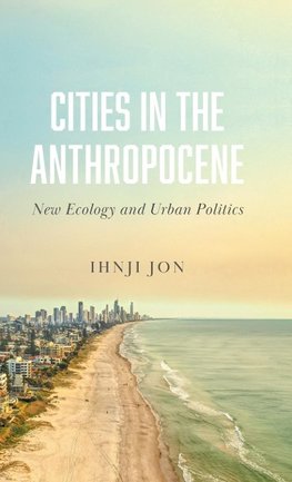 Cities in the Anthropocene