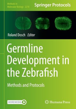 Germline Development in the Zebrafish