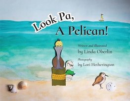 Look Pa, A Pelican!