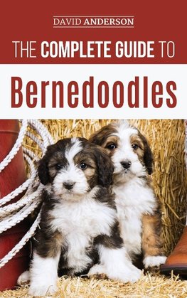 The Complete Guide to Bernedoodles