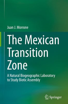 The Mexican Transition Zone