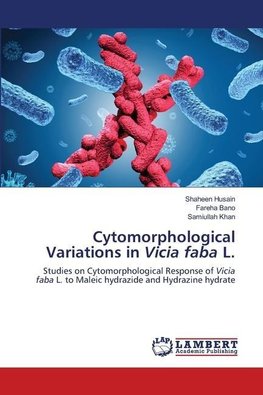 Cytomorphological Variations in Vicia faba L.