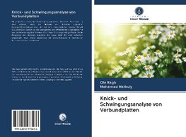 Knick- und Schwingungsanalyse von Verbundplatten
