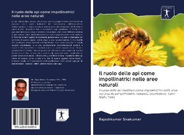 Il ruolo delle api come impollinatrici nelle aree naturali