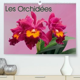 Les Orchidées (Premium, hochwertiger DIN A2 Wandkalender 2021, Kunstdruck in Hochglanz)
