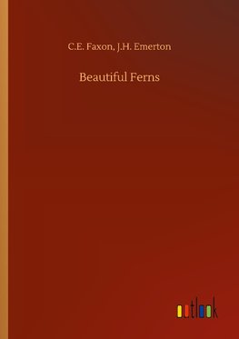 Beautiful Ferns