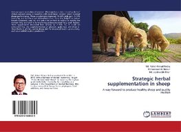 Strategic herbal supplementation in sheep