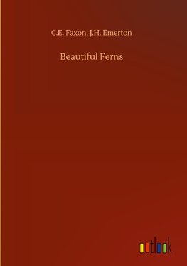 Beautiful Ferns