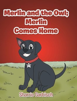 Merlin and the Owl