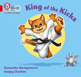 BIG CAT L&S_KICK IT ZIP