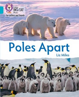 BIG CAT L&S_POLES APART