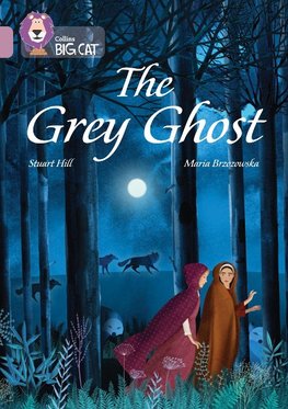BIG CAT_THE GREY GHOST